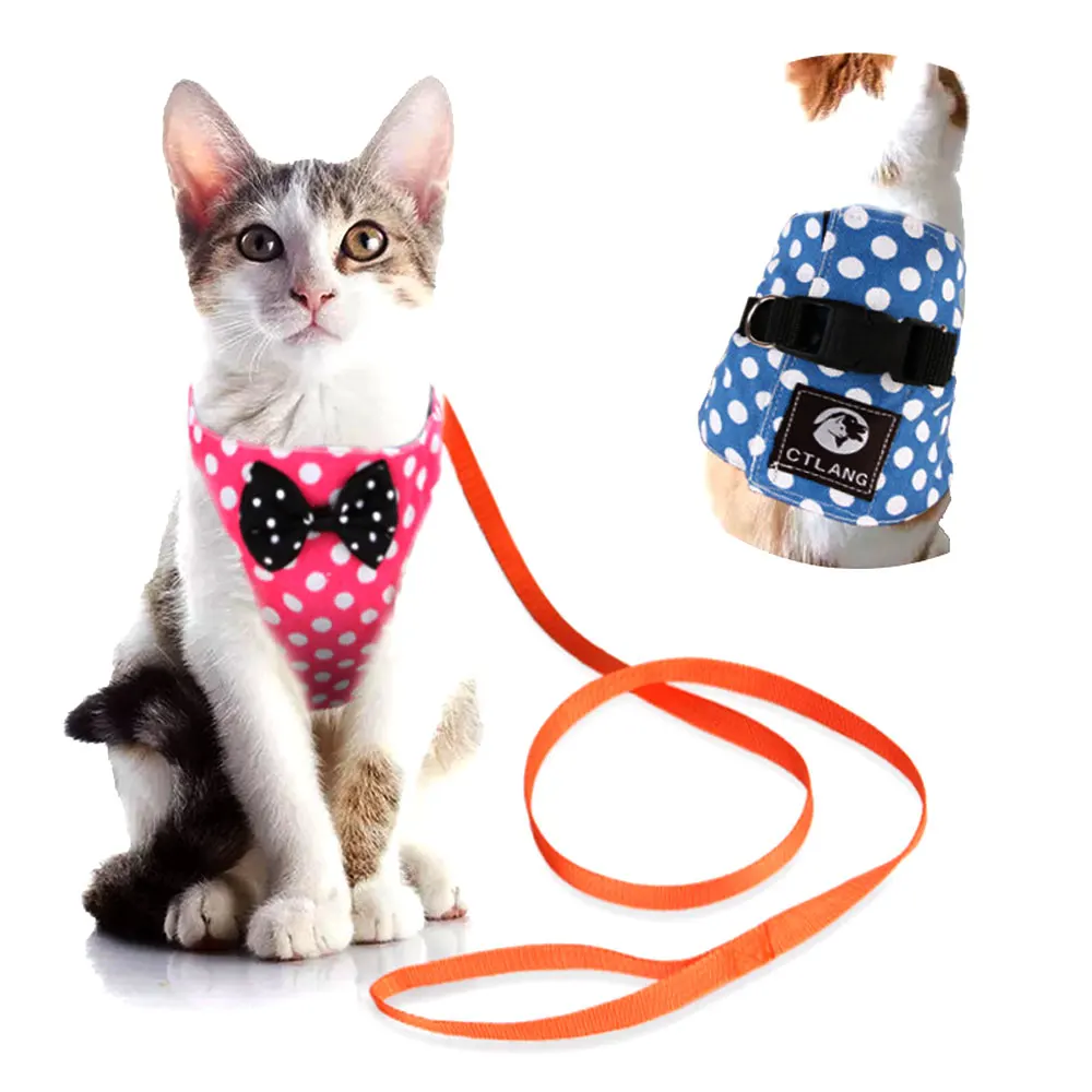 2Pcs/Set Dog Harness Anti-Tear Adjustable Pet Harness Soft Vest for Small Dogs Easy Control Harness
2Pcs/Set Dog Harness Anti-Tear Adjustable Pet Harness Soft Vest for Small Dogs Easy Control Harness