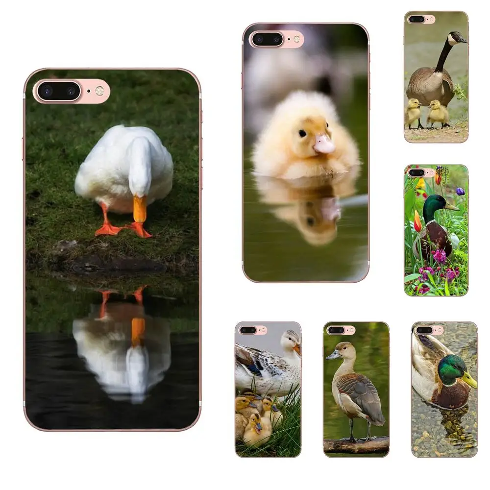 For Galaxy A3 A5 A7 On5 On7 2015 2016 2017 Grand Alpha G850 Core2 Prime S2 I9082 Top Detailed Popular Phone Case Animal Duck
For Galaxy A3 A5 A7 On5 On7 2015 2016 2017 Grand Alpha G850 Core2 Prime S2 I9082 Top Detailed Popular Phone Case Animal Duck