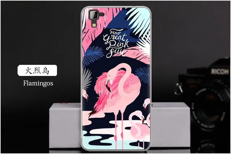 Flamingos