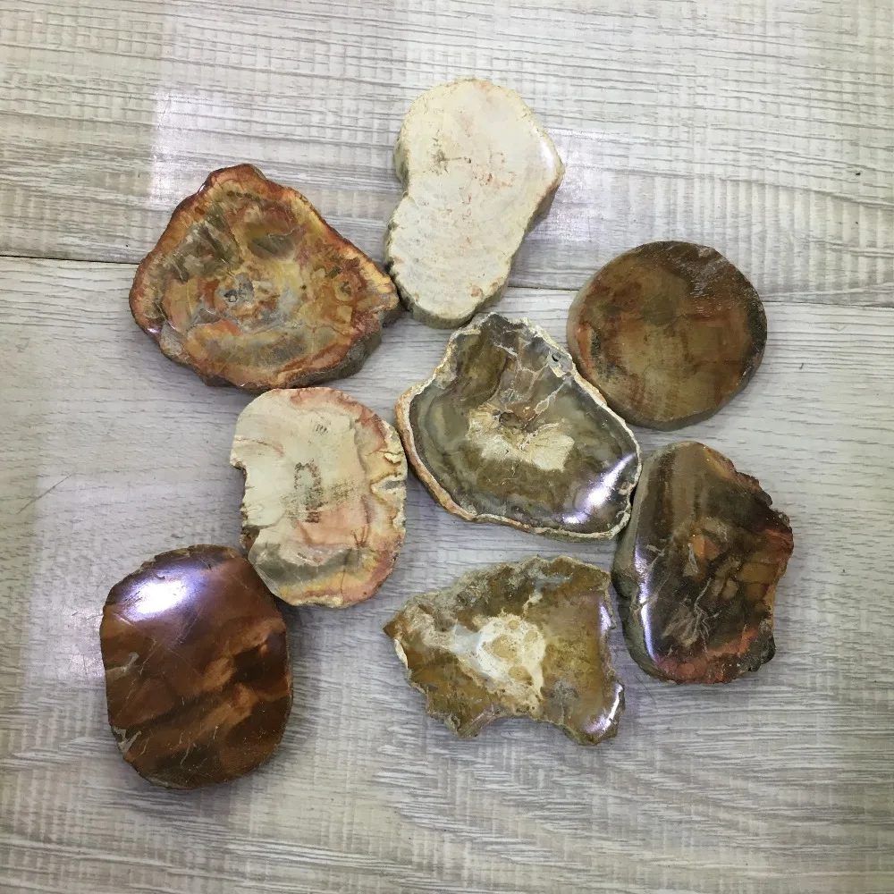 Cute small size 100% natural stones and minerals wood fossil slice reiki healing crystals for home decoration wholesale price
Cute small size 100% natural stones and minerals wood fossil slice reiki healing crystals for home decoration wholesale price