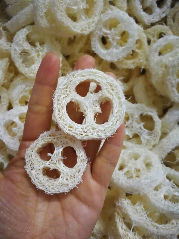 small diameter 10pcs/lotNatural dry Loofah Luffa Loofa Slices,handmade DIY customize Loofah soap tools,cleanner,sponge scrubber
small diameter 10pcs/lotNatural dry Loofah Luffa Loofa Slices,handmade DIY customize Loofah soap tools,cleanner,sponge scrubber