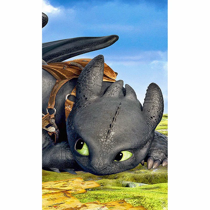 5D Diamond Painting How To Train Your Dragon DIY Full Round Square Diamond Embroidery Diamond Mosaic Cross Stitch Unframed
5D Diamond Painting How To Train Your Dragon DIY Full Round Square Diamond Embroidery Diamond Mosaic Cross Stitch Unframed