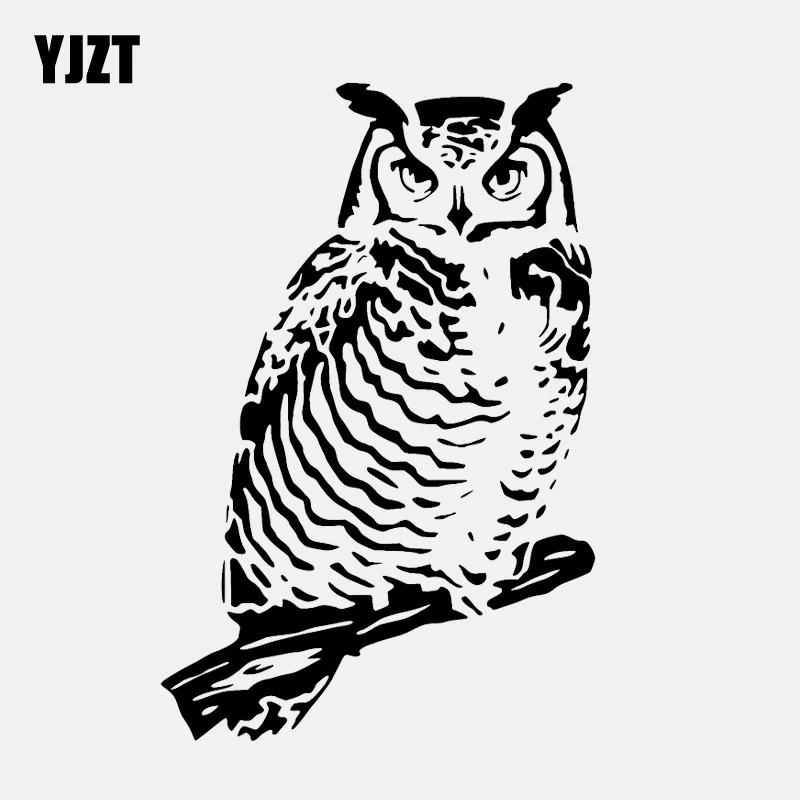 YJZT 10.1CM*15.3CM Eagle Owl On Branch Vinyl Black/Silver High Quality Car Sticker C22-0980
YJZT 10.1CM*15.3CM Eagle Owl On Branch Vinyl Black/Silver High Quality Car Sticker C22-0980