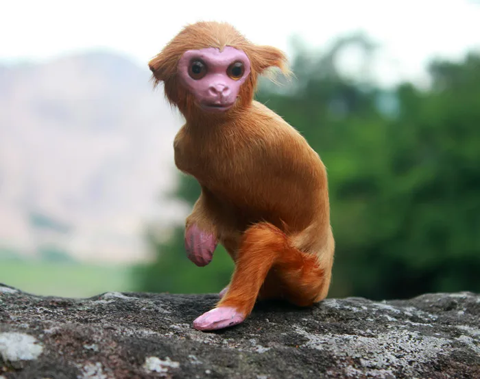 about 12x10cm squatting monkey model,polyethylene&furs handicraft Figurines home garden decoration toy gift a2573
about 12x10cm squatting monkey model,polyethylene&furs handicraft Figurines home garden decoration toy gift a2573