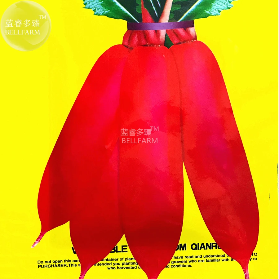 BELLFARM Red Long Raphanus Radish Seeds, Original Pack, 150 Seeds, organic red garden vegetables E4283