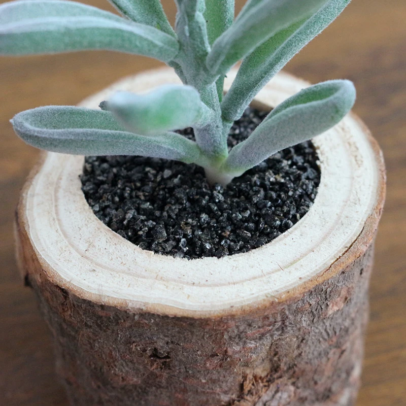 JAROWN Artificial Succulent Plants Potted Set Real Wooden Pile Flowerpot For Home Decoration Office Tabletop Decor (3)