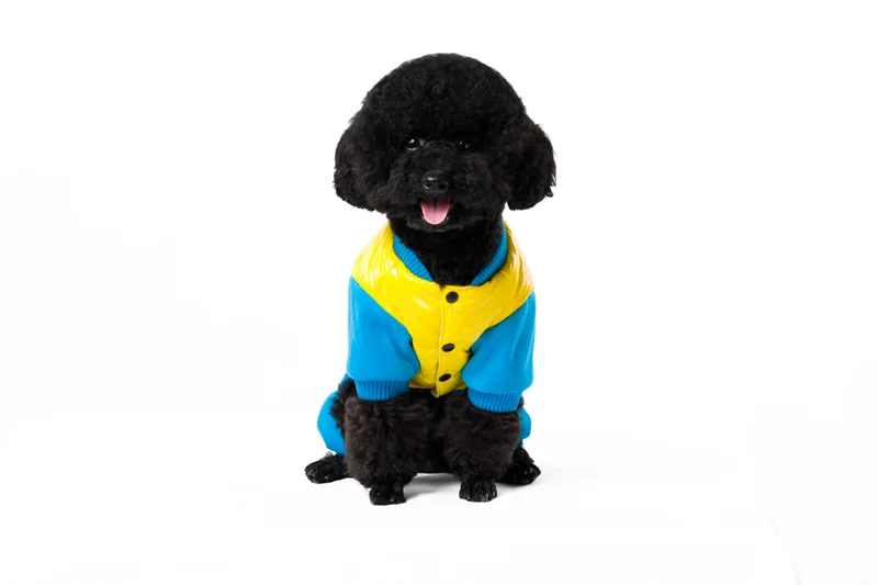 9 dog jumpsuit