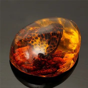 5*4cm Beautiful Amber Butterfly Insects Stone Pendant Necklace Gemstone for DIY Jewellery Pendant Crafts
5*4cm Beautiful Amber Butterfly Insects Stone Pendant Necklace Gemstone for DIY Jewellery Pendant Crafts