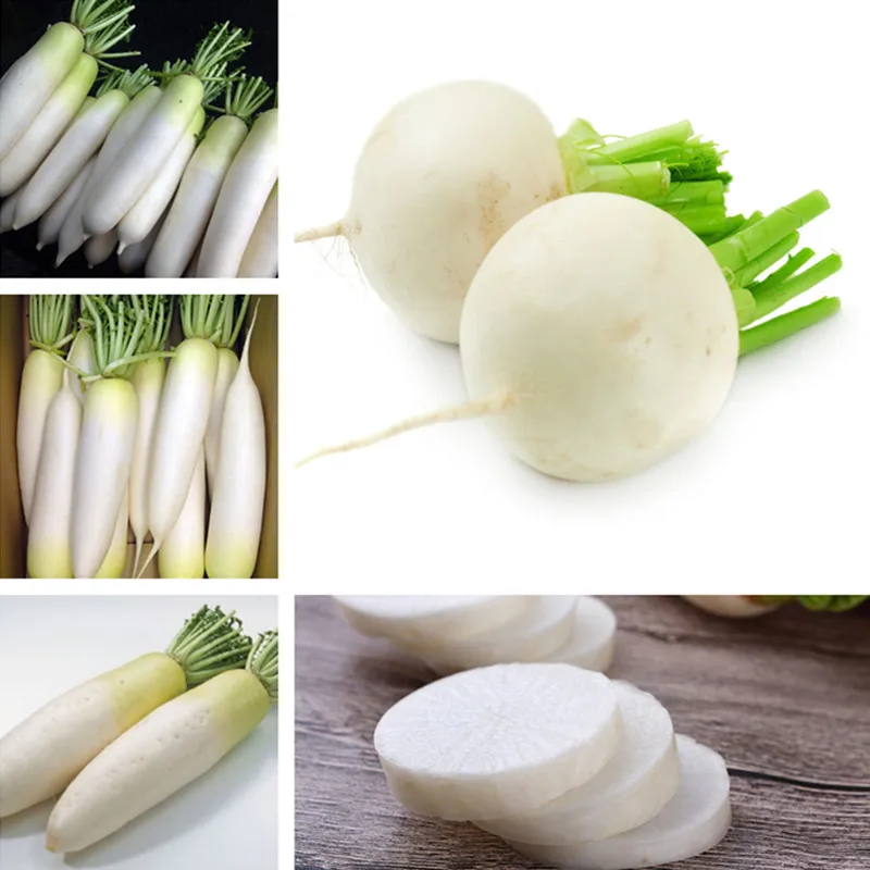 1000 Pcs White Cherry Radish bonsai Organic Vegetables plants, Strong Adaptability, Rich Nutrition, Bonsai Plant for Home Garden
1000 Pcs White Cherry Radish bonsai Organic Vegetables plants, Strong Adaptability, Rich Nutrition, Bonsai Plant for Home Garden