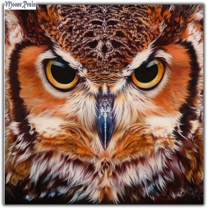MOONCRESIN Diy Diamond Embroidery Simple Solemn Owl Mosaic Full Round Diamond Painting Cross Stitch Home Decoration handicrafts
MOONCRESIN Diy Diamond Embroidery Simple Solemn Owl Mosaic Full Round Diamond Painting Cross Stitch Home Decoration handicrafts