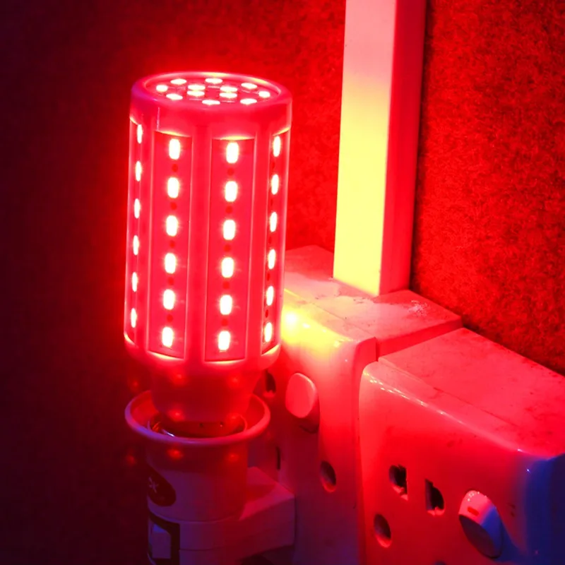 New LED Grow Light lantern Red Corn Light E27 E26 E14 B22 bulb AC 220V 110V DC 12V 24V-60V SMD 5730 Growing Lamp for Greenhouse
New LED Grow Light lantern Red Corn Light E27 E26 E14 B22 bulb AC 220V 110V DC 12V 24V-60V SMD 5730 Growing Lamp for Greenhouse