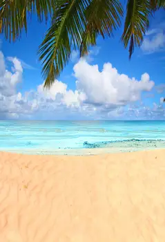 Sea Beach Photography Backdrop Tropical Vinyl Backdrop For Photography Photocall Hawaiian blue sky Background For Photo XT-6896
Sea Beach Photography Backdrop Tropical Vinyl Backdrop For Photography Photocall Hawaiian blue sky Background For Photo XT-6896