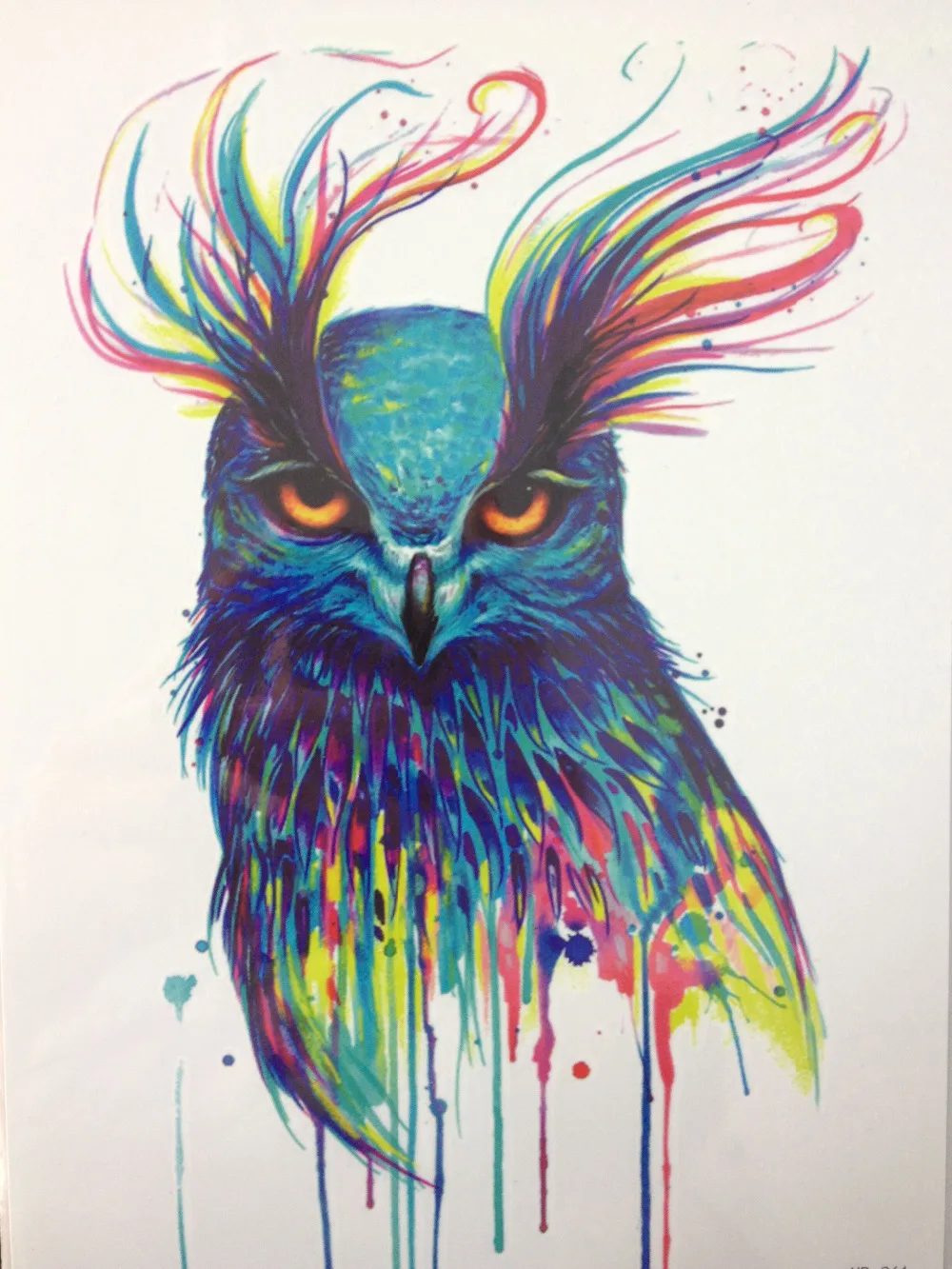 Image 2016 Fashion Colorful Beauty OWL Waterproof Hot Temporary Tattoo Stickers#141