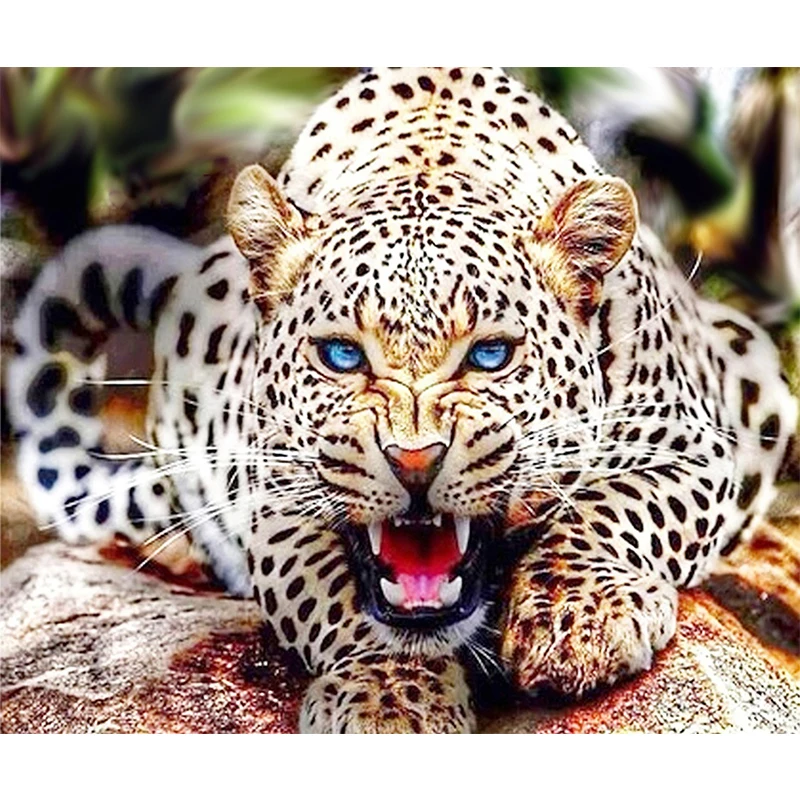 Full Square / square Drill 5D DIY Diamond Painting "Leopard" 5d Embroidery Cross Stitch Mosaic Rhinestone Home Decor Gift
Full Square / square Drill 5D DIY Diamond Painting "Leopard" 5d Embroidery Cross Stitch Mosaic Rhinestone Home Decor Gift