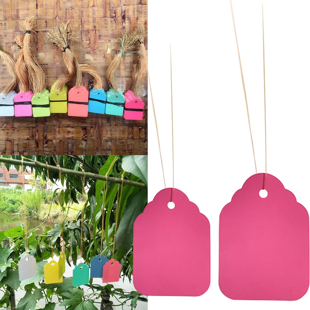 100Pcs Plant Labels Garden Reusable Signs Waterproof Decoration Easy Clean Vegetable Potted Flowers Hanging Tags Marking Farm
100Pcs Plant Labels Garden Reusable Signs Waterproof Decoration Easy Clean Vegetable Potted Flowers Hanging Tags Marking Farm
