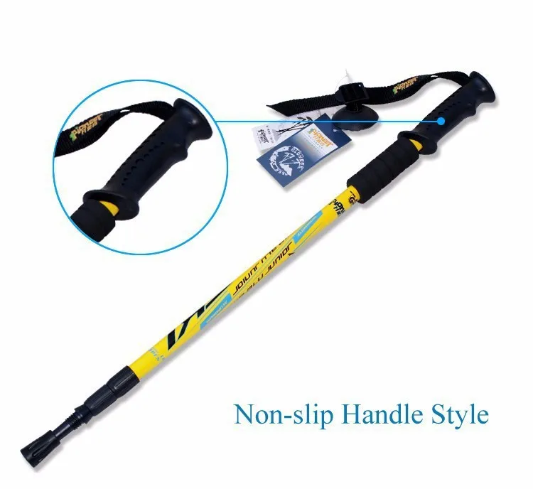 Details about   Pioneer brave heart carbon outer lock ski pole rod package ultra light users 2pc 