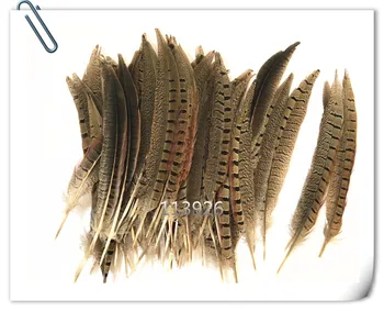 100pcs Female pheasant feathers 30-35CM Natural Pheasant tail Feather Diy feathers crafts for headdress /jewelry making/costume
100pcs Female pheasant feathers 30-35CM Natural Pheasant tail Feather Diy feathers crafts for headdress /jewelry making/costume