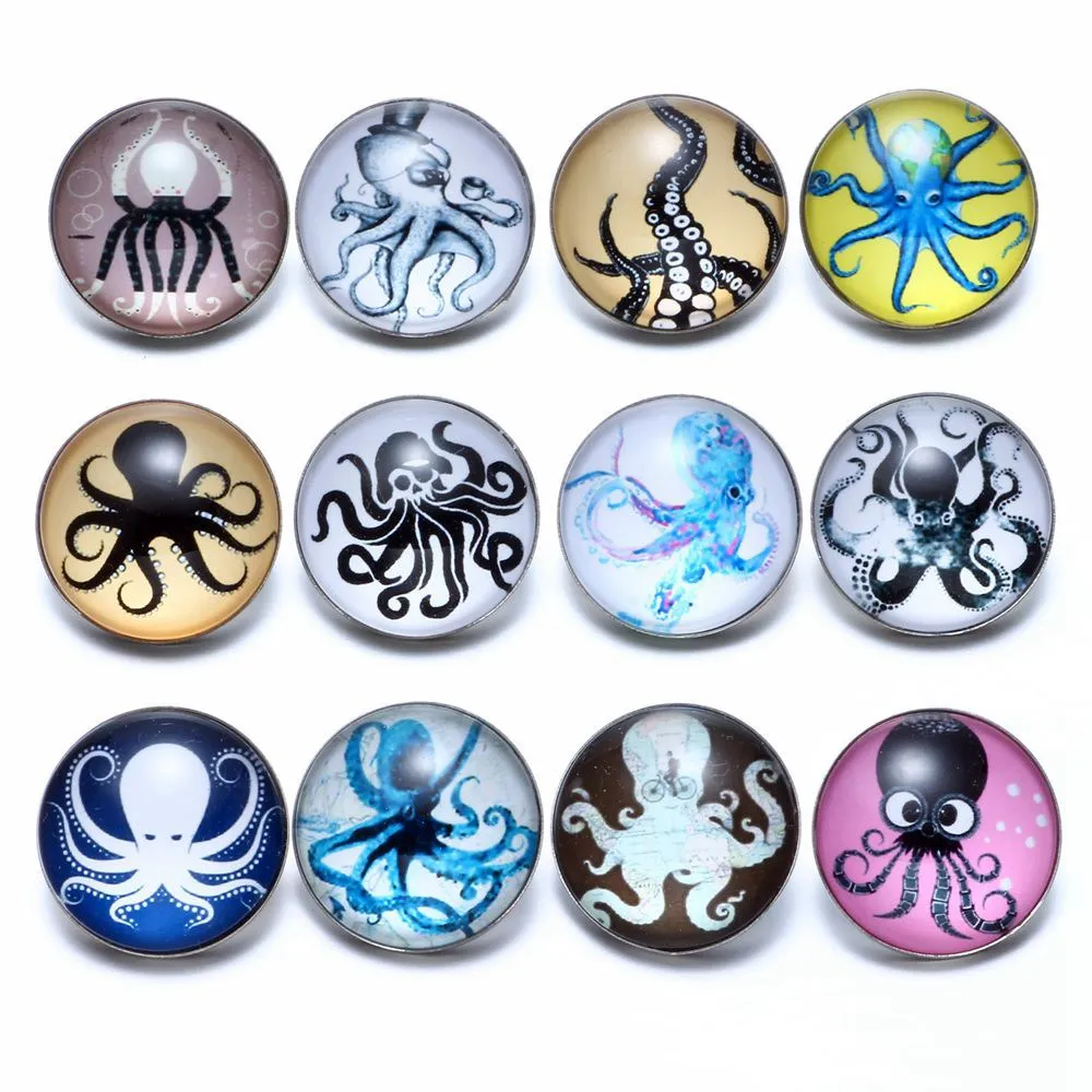 12pcs/lot Octopus Themes Glass Charms 18mm Snap Button Jewelry For 18mm Snaps Bracelet Snap Jewelry KZ0666a
12pcs/lot Octopus Themes Glass Charms 18mm Snap Button Jewelry For 18mm Snaps Bracelet Snap Jewelry KZ0666a