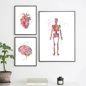 Watercolor Human Anatomy Wall Art Heart and Brain Medical Anatomy Canvas Painting Clinic Wall Picture Decor Black Metal Framed
Watercolor Human Anatomy Wall Art Heart and Brain Medical Anatomy Canvas Painting Clinic Wall Picture Decor Black Metal Framed
