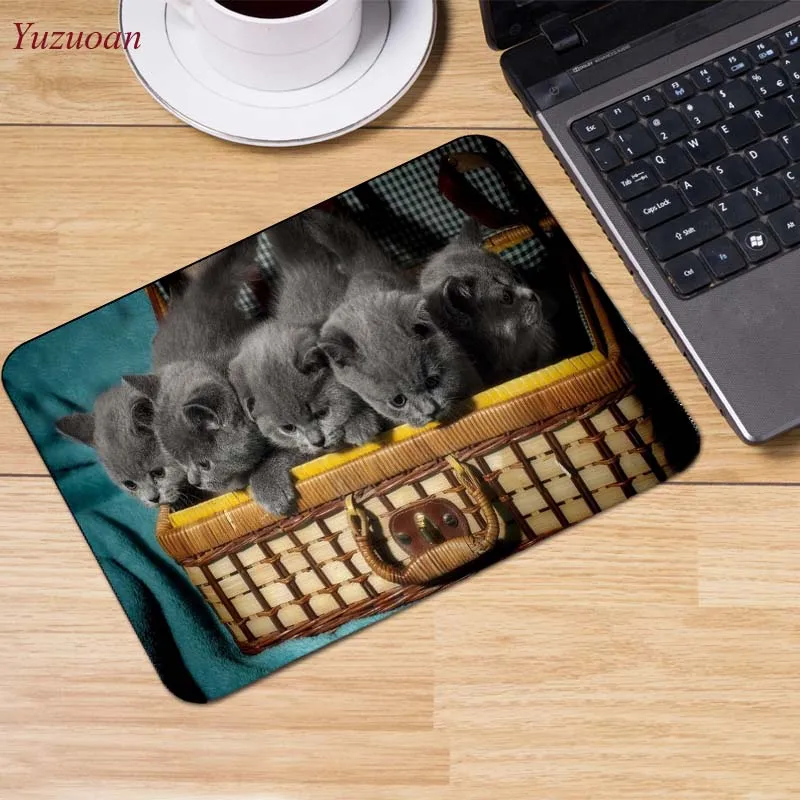 16dogs-thought-lost-dog-widescreen-wallpaper-1920x1080 (3)