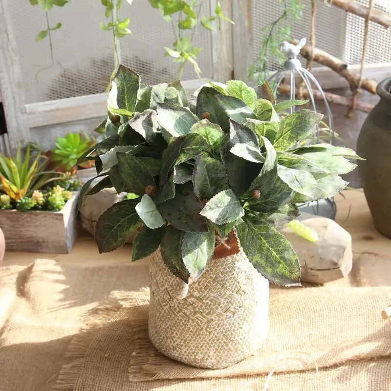 7 Heads Fake Loquat Leaf Silk Artificial Flowers for Home Garden Decoration Wedding Party Supplies Decorative Plant Leaves
7 Heads Fake Loquat Leaf Silk Artificial Flowers for Home Garden Decoration Wedding Party Supplies Decorative Plant Leaves