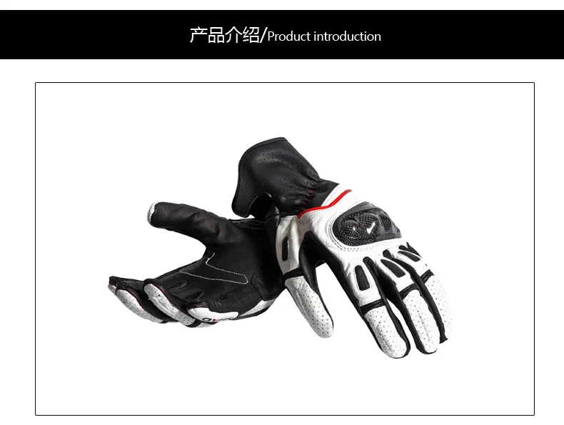 SH02 (8)