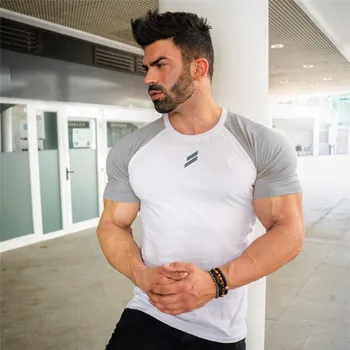 2018 Sports Shirts Tops Men's Printed Fitness Compression Shirts Short Sleeve Workout Jogging Gym Running T-shirts
2018 Sports Shirts Tops Men's Printed Fitness Compression Shirts Short Sleeve Workout Jogging Gym Running T-shirts