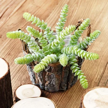 WICCA 12pcs/lot Artificial Plastic Succulent Plants DIY Flower Pants Wall Accessories Fake Plants garden decoration plantas
WICCA 12pcs/lot Artificial Plastic Succulent Plants DIY Flower Pants Wall Accessories Fake Plants garden decoration plantas