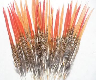 Free Shipping wholesale 200Pcs/lot Natural red tipped Pheasant tail feathers 7-10inches/17-25cm feathers For hats/masks/Crafts
Free Shipping wholesale 200Pcs/lot Natural red tipped Pheasant tail feathers 7-10inches/17-25cm feathers For hats/masks/Crafts