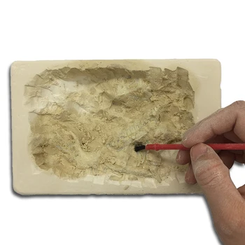 Science Archaeology Gift Paleontology Excavation Dinosaur Bones Fossil Dig Kits Kids Funny Toys
Science Archaeology Gift Paleontology Excavation Dinosaur Bones Fossil Dig Kits Kids Funny Toys