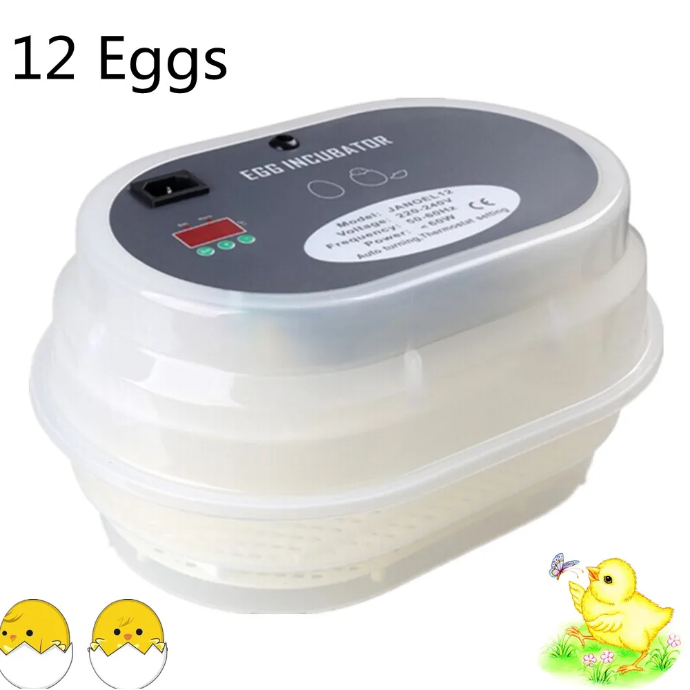 Mini Household Chicken Duck Goose Poultry Egg Incubation Quail Bird Egg Hatching Machine Automatic 12 Eggs Brooder
Mini Household Chicken Duck Goose Poultry Egg Incubation Quail Bird Egg Hatching Machine Automatic 12 Eggs Brooder