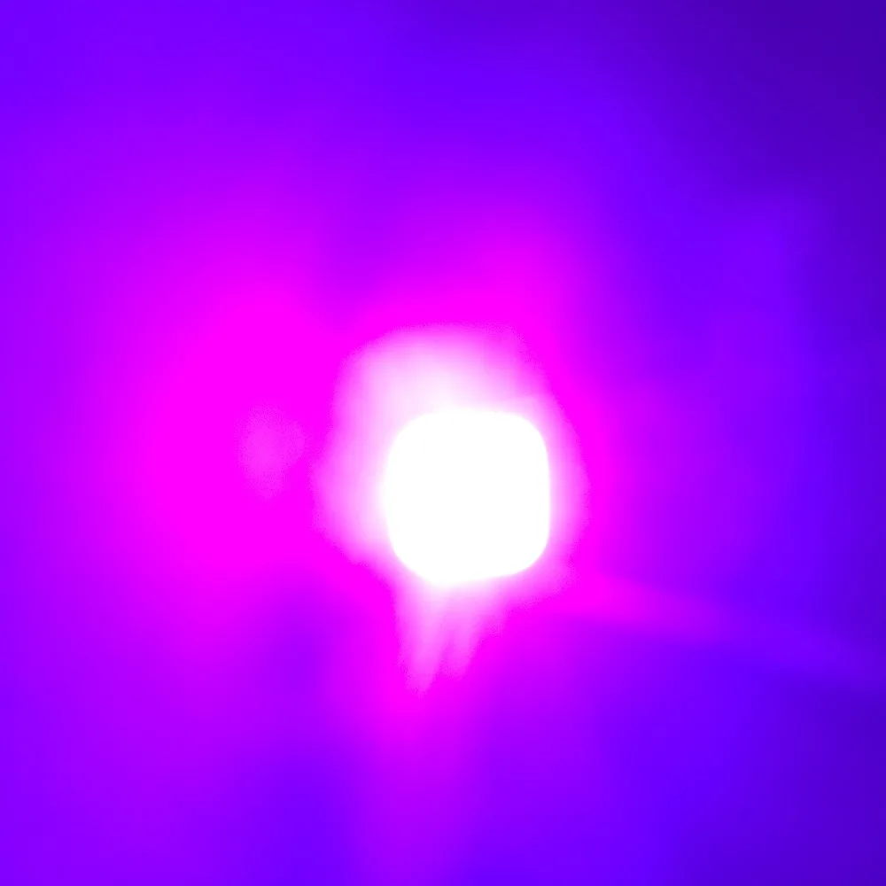 _20181231222646