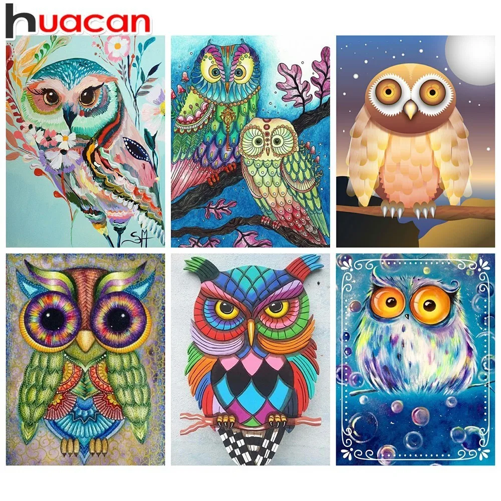 HUACAN 5D DIY Diamond Painting Owl Diamond Mosaic Animal Picture Of Rhinestones Diamond Embroidery Cross Stitch Home Decoration
HUACAN 5D DIY Diamond Painting Owl Diamond Mosaic Animal Picture Of Rhinestones Diamond Embroidery Cross Stitch Home Decoration
