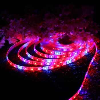 

LED Growing Lamps Strip Light Red:Blue 3:1 Full Spectrum Grow 0.5M 1M 2M 300CM 4M 5M 5050SMD Waterproof DC12V