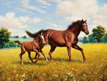 High Quality Modern Printed on Canvas Home Sitting Room Decor Wall Decoration Animal Horse Oil Painting Art Picture
High Quality Modern Printed on Canvas Home Sitting Room Decor Wall Decoration Animal Horse Oil Painting Art Picture