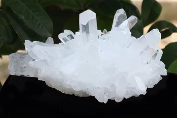 300g Clear White Quartz Crystal Cluster Mineral Specimen
300g Clear White Quartz Crystal Cluster Mineral Specimen