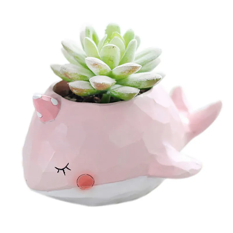 Creative Cartoon Whale Elephant Crocodile Flower pot Resin Planter for Succulents Mini Flower Pot Desktop Pot Home Garden Bonsai
Creative Cartoon Whale Elephant Crocodile Flower pot Resin Planter for Succulents Mini Flower Pot Desktop Pot Home Garden Bonsai