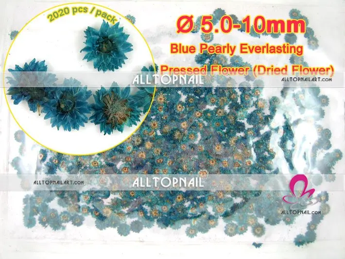 blue pearly everlasting dried pressed flower professional dried flower for pressed flower art & nail art - Free Shipping
blue pearly everlasting dried pressed flower professional dried flower for pressed flower art & nail art - Free Shipping