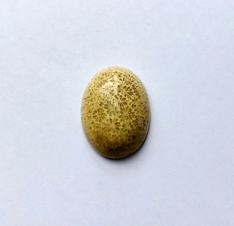 Natural Coral Fossil Jaspe r gem stone cabochon 15*20mm Oval Semi stone Cabochon 1piece Stone Ring Face
Natural Coral Fossil Jaspe r gem stone cabochon 15*20mm Oval Semi stone Cabochon 1piece Stone Ring Face