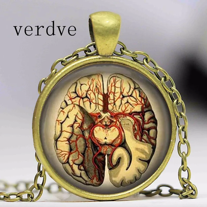 New Steampunk Jewelry Anatomical brain necklace pendant Gothic necklace science pendant biology medical student gift
New Steampunk Jewelry Anatomical brain necklace pendant Gothic necklace science pendant biology medical student gift