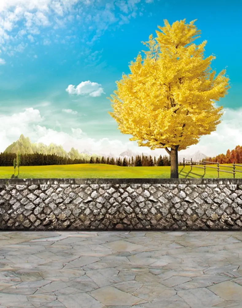 5x7ft Stone Floor Yellow Tree Lawn Photography Backdrops Photo Props Studio Background
5x7ft Stone Floor Yellow Tree Lawn Photography Backdrops Photo Props Studio Background