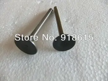EH12 VALVES EH12-2D EH12-2B INTAKE VALVE AND EXHUAST VALVE FOR MIKASA Robin RAMMER ENGINE PARTS REPLACE PARTS generator PARTS
EH12 VALVES EH12-2D EH12-2B INTAKE VALVE AND EXHUAST VALVE FOR MIKASA Robin RAMMER ENGINE PARTS REPLACE PARTS generator PARTS