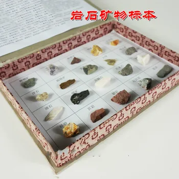 Mineral Rock Specimen Box 20 Kinds Primary School Geography Ore Science Teaching Instrument Teaching Equipment Natural Minerals
Mineral Rock Specimen Box 20 Kinds Primary School Geography Ore Science Teaching Instrument Teaching Equipment Natural Minerals