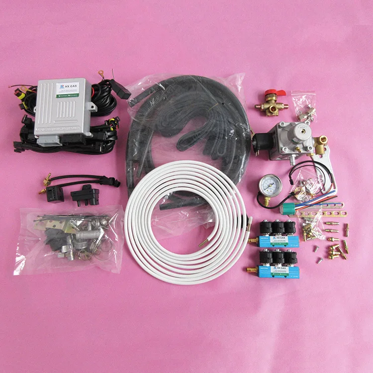 CNG Sequential Injection Conversion Kit for D06 V6 Cylinders Gasoline Fuel Injected Vehicle
CNG Sequential Injection Conversion Kit for D06 V6 Cylinders Gasoline Fuel Injected Vehicle
