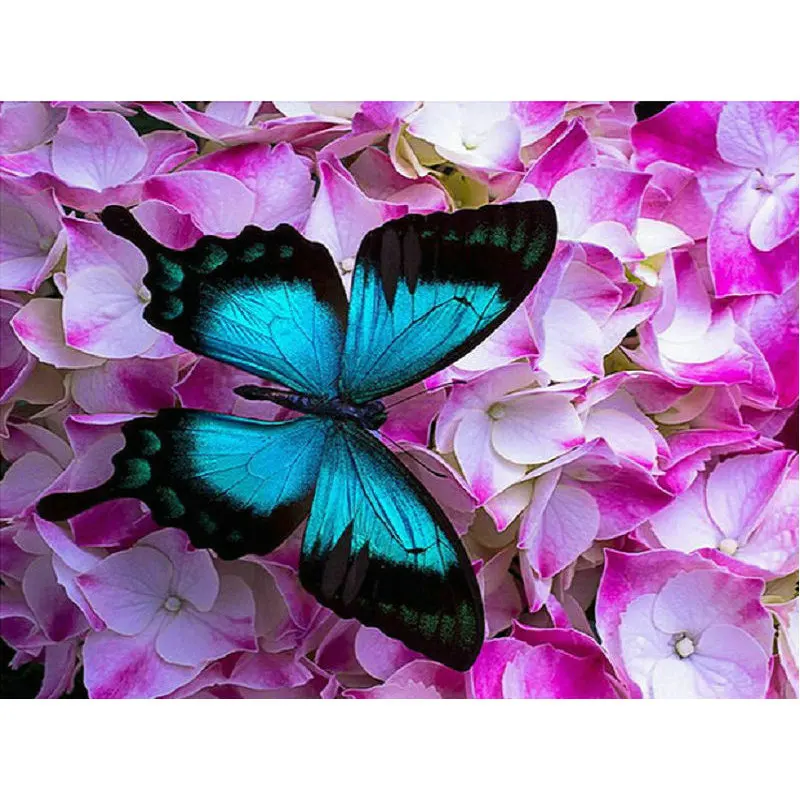 Diamond Embroidery butterfly flowers 5D DIY Diamond mosaic pattern Diamond Painting Cross Stitch square Rhinestone Decoration
Diamond Embroidery butterfly flowers 5D DIY Diamond mosaic pattern Diamond Painting Cross Stitch square Rhinestone Decoration