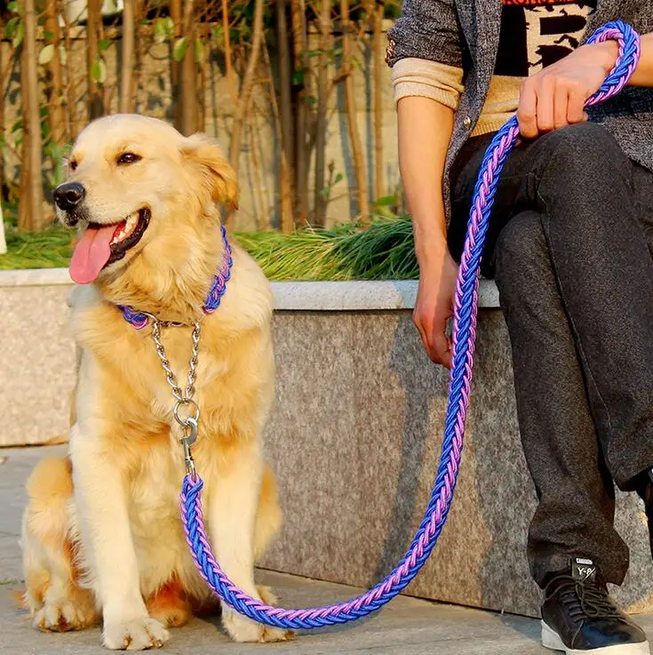 2018 Practical Dog Collar Lead Two Color Dog Collar Chain Eight Strand P Chain Pitbull Leash Pet Dog Training Outdoor Supplies
2018 Practical Dog Collar Lead Two Color Dog Collar Chain Eight Strand P Chain Pitbull Leash Pet Dog Training Outdoor Supplies
