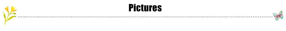 pictures