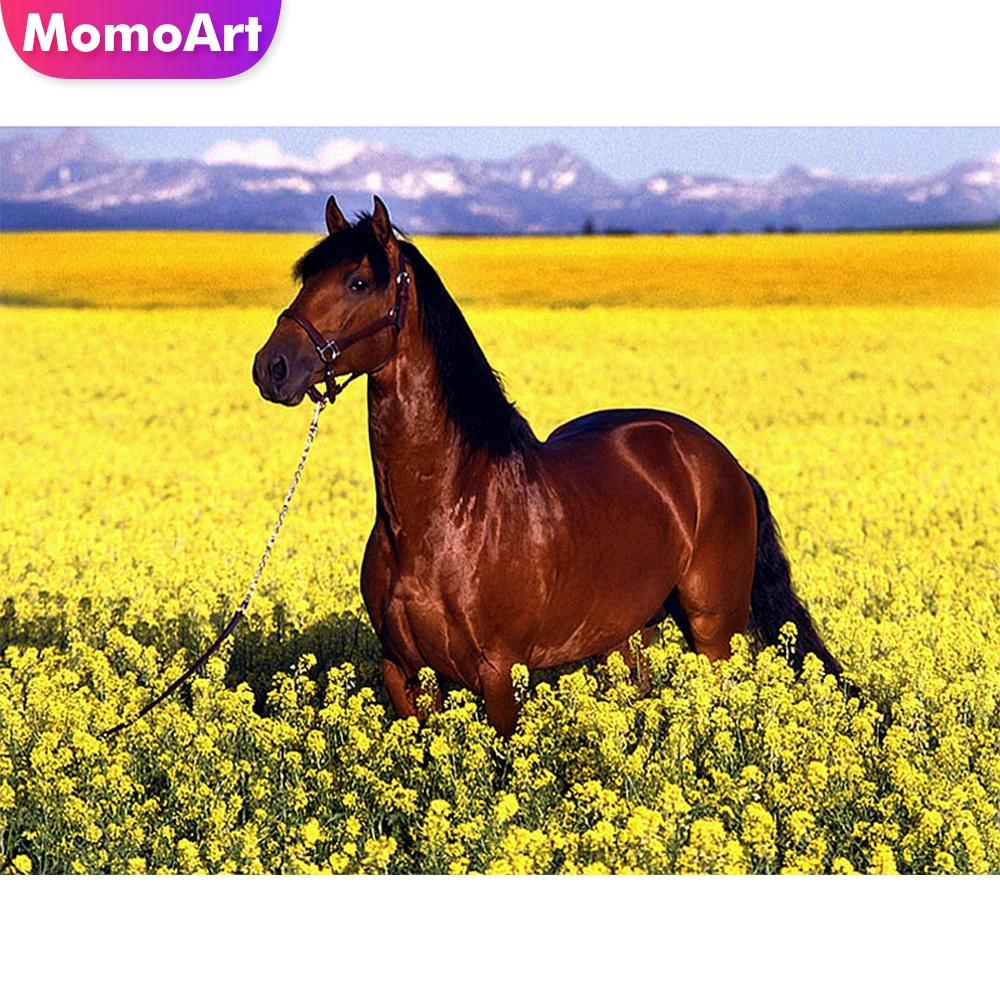 MomoArt Diamond Painting Eagle Diamond Mosaic Full Square Rhinestone Diamond Embroidery Animal Home Decoration
MomoArt Diamond Painting Eagle Diamond Mosaic Full Square Rhinestone Diamond Embroidery Animal Home Decoration