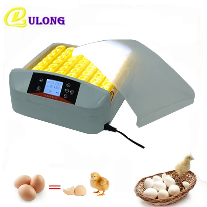 Mini Automatic Eggs Incubator Digital Temperature Control Tray Hatcher Eggs Turning Poultry Hatching Machine
Mini Automatic Eggs Incubator Digital Temperature Control Tray Hatcher Eggs Turning Poultry Hatching Machine