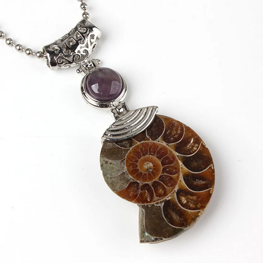 100-Unique 1 Pcs Charm Silver Plated Ammonite Reliquiae Purple Amethysts Stone Beads Pendant Jewelry
100-Unique 1 Pcs Charm Silver Plated Ammonite Reliquiae Purple Amethysts Stone Beads Pendant Jewelry